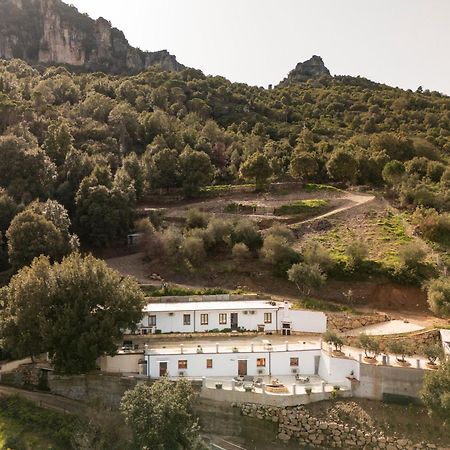 Casa Jerzu S'Essia De Su Santu Villa Eksteriør bilde
